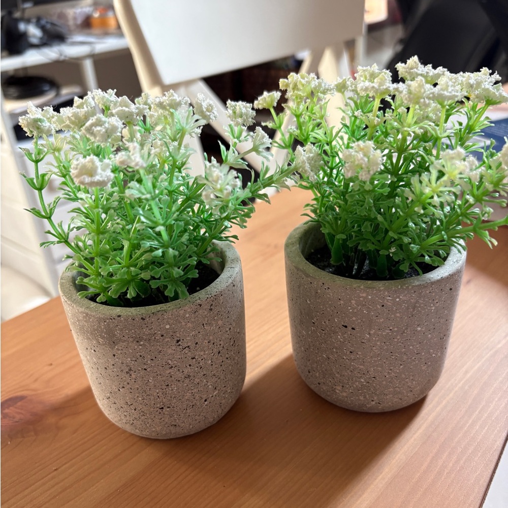 Set of 2- Green Faux Plant in Gray Pot